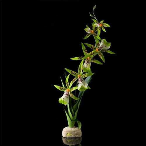 пользовательские 3d фотообои растение из тропического леса пейзаж настенная живопись гостиная спальня фон papel де parede Искусственное растение - Exo-Terra Spider Orchid