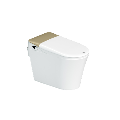 Электронный унитаз-биде T80-S