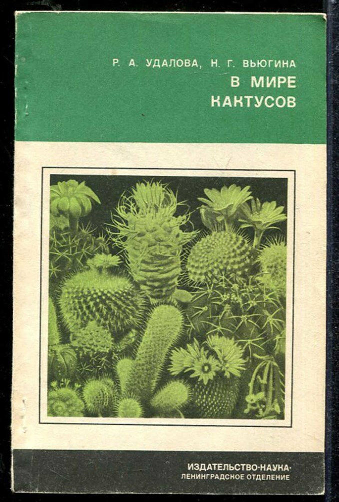 Удалова Р. А, Вьюгина Н. Г. В мире кактусов