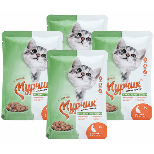 Мурчик для взрослых кошек с кроликом в соусе пауч 75 гр х 4 шт