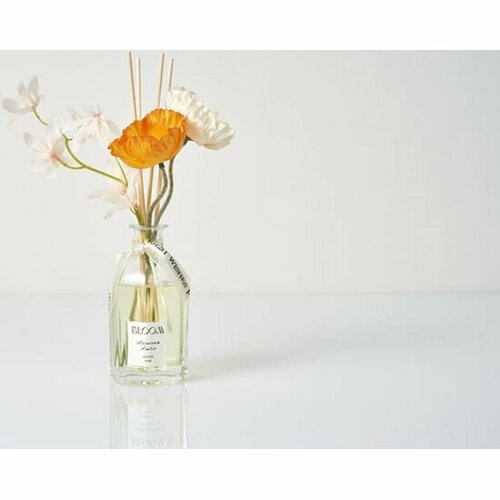 Ароматический диффузор Arya Home Arya Moroccan Amber 120 мл