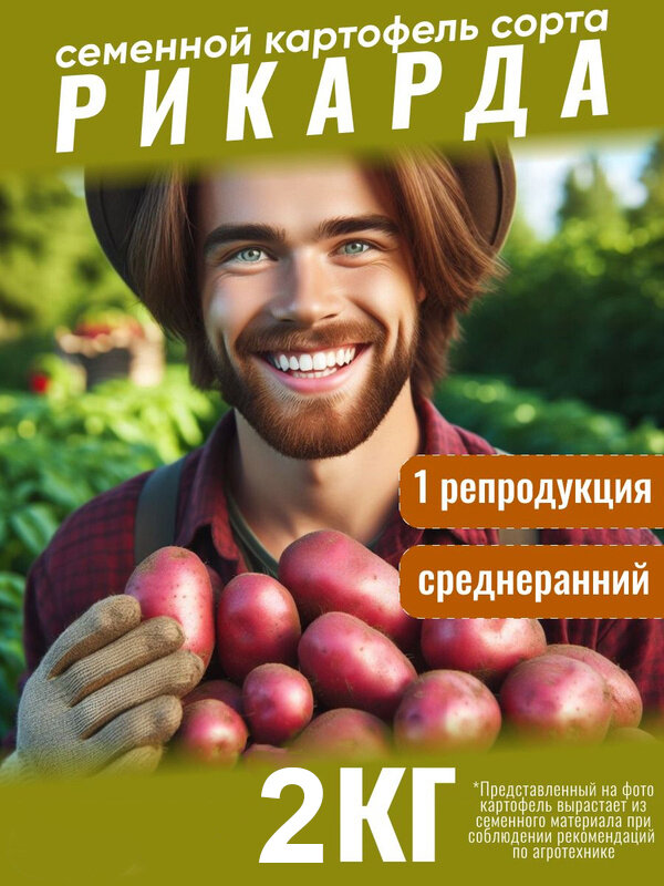 Картофель семенной Рикарда 2 кг