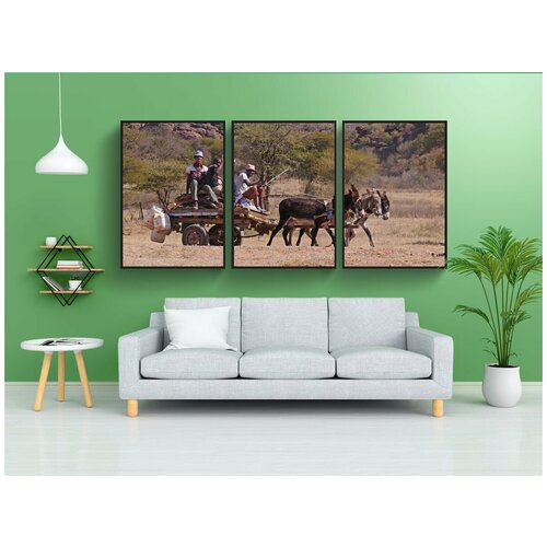 фото Набор модулных постеров для интерьера "ботсвана, телега осла, транспорт" 60x90 см. в тубусе, без рамки lotsprints
