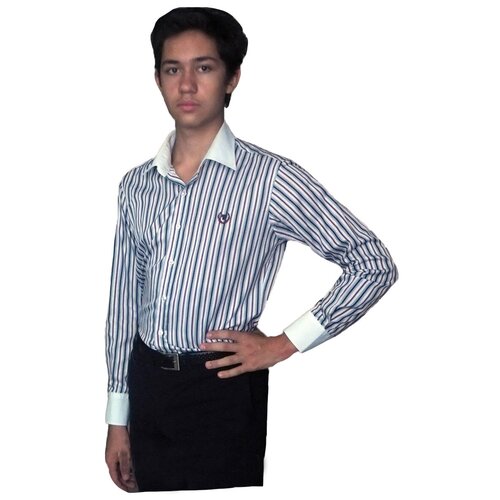 фото Школьная рубашка tugi, полуприлегающий силуэт, на пуговицах, длинный рукав, без карманов, в полоску, размер 182, мультиколор