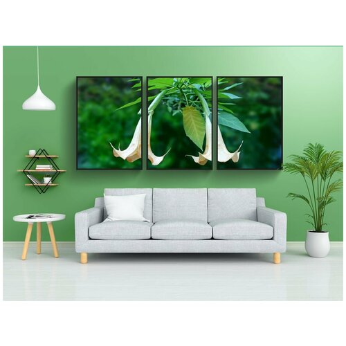 фото Набор модулных постеров для интерьера "труба ангела, бругмансия, два" 60x90 см. в тубусе, без рамки lotsprints