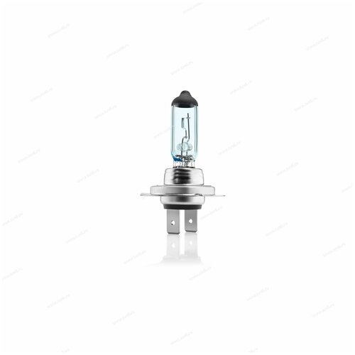 фото Лампа галогенная bosch xenon blue h4 12v 55/60w p43t, 1 шт. (блистер)