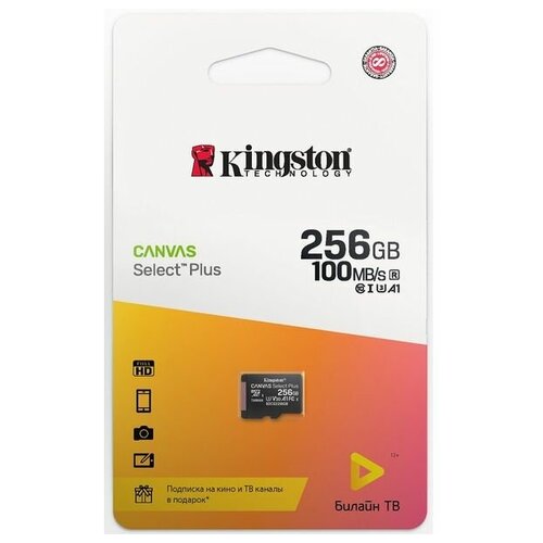 Карта памяти Kingston Canvas Select Plus microSDHC UHS-I Class 10 256GB + подписка билайн тв на 2 месяца