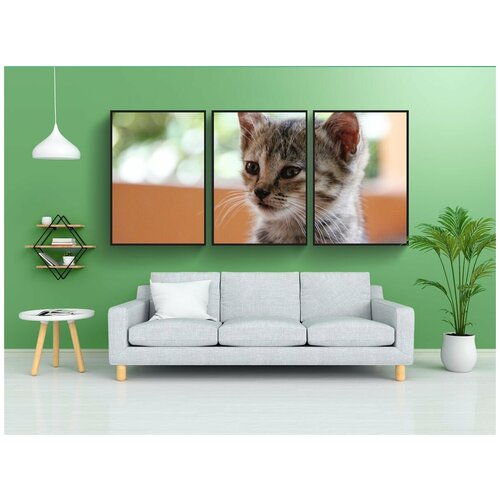 фото Набор модулных постеров для интерьера "кот, котенок, кошка ребенок" 60x90 см. в тубусе, без рамки lotsprints