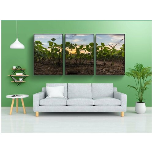 фото Набор модулных постеров для интерьера "поле, растения, заход солнца" 60x90 см. в тубусе, без рамки lotsprints