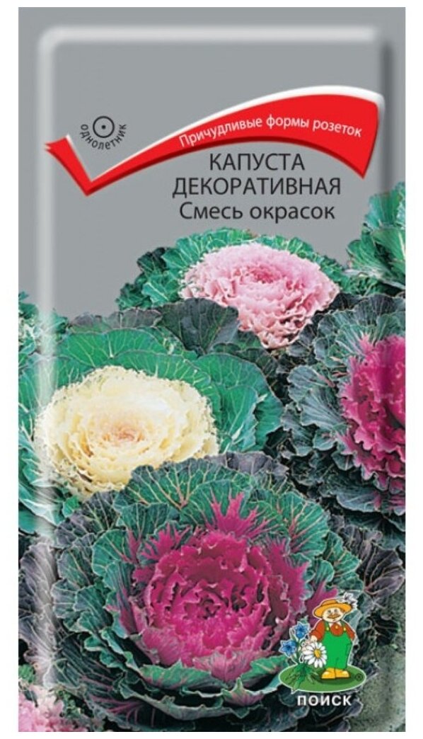 Семена Капуста декоративная Смесь окрасок 0.25 г цветная упаковка Поиск