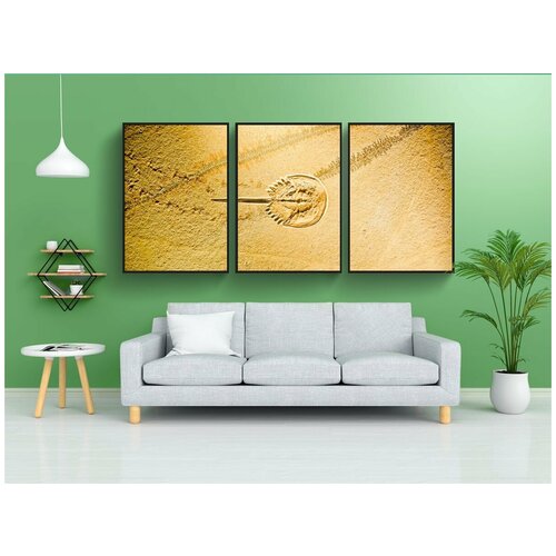 фото Набор модулных постеров для интерьера "подковообразные крабы, limulidae, ископаемое" 60x90 см. в тубусе, без рамки lotsprints