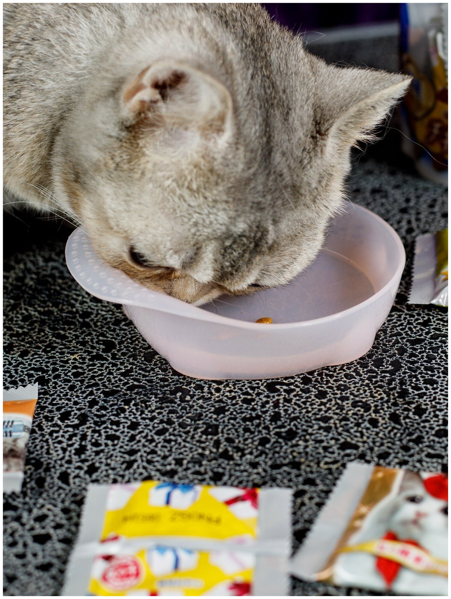 Лакомство для кошек Japan Premium Pet, хрустящий корм PRESENT для избалованных кошек на основе японского цыплёнка в сырном соусе, 42 г - фотография № 8