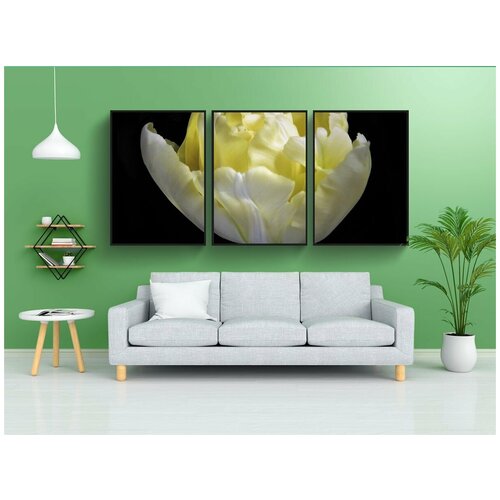 фото Набор модулных постеров для интерьера "тюльпан, цветок, цвести" 60x90 см. в тубусе, без рамки lotsprints