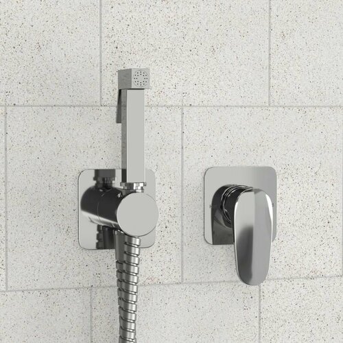 A3151271057136 Встраиваемый комплект для биде со шлангом 37490₽