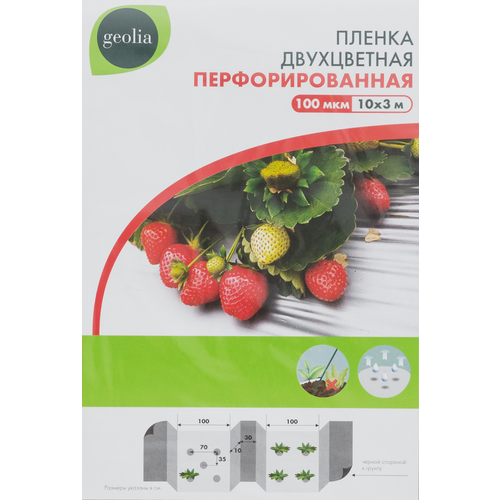 Плен пэ Geolia двухцв перф 100мкр 10x3м 2197₽