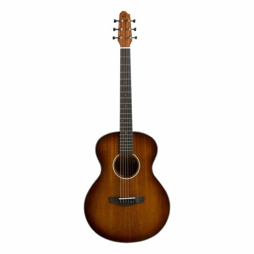 Covenant 160ME гитара электроакустическая с чехлом 41990₽