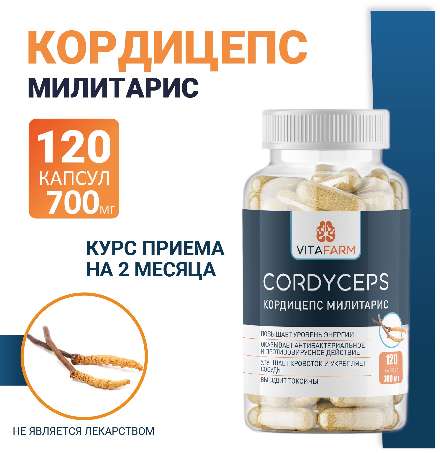 Кордицепс милитарис (Cordyceps militaris) капсулы 120 шт/ 700 мг