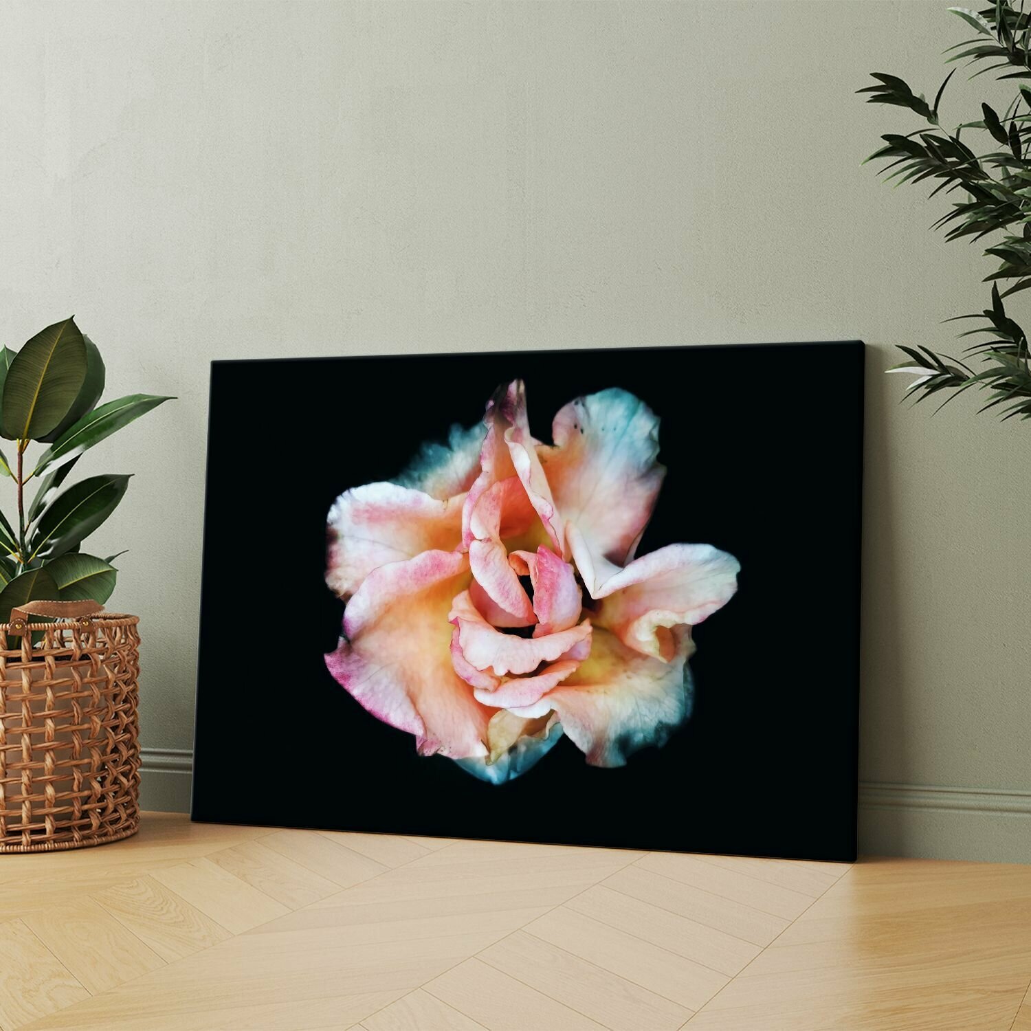 Картина на холсте (Розы макро розовый цветок) 50x70 см. Интерьерная на стену.
