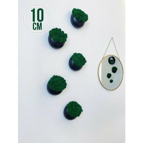 Настенные кашпо со мхом 2475₽