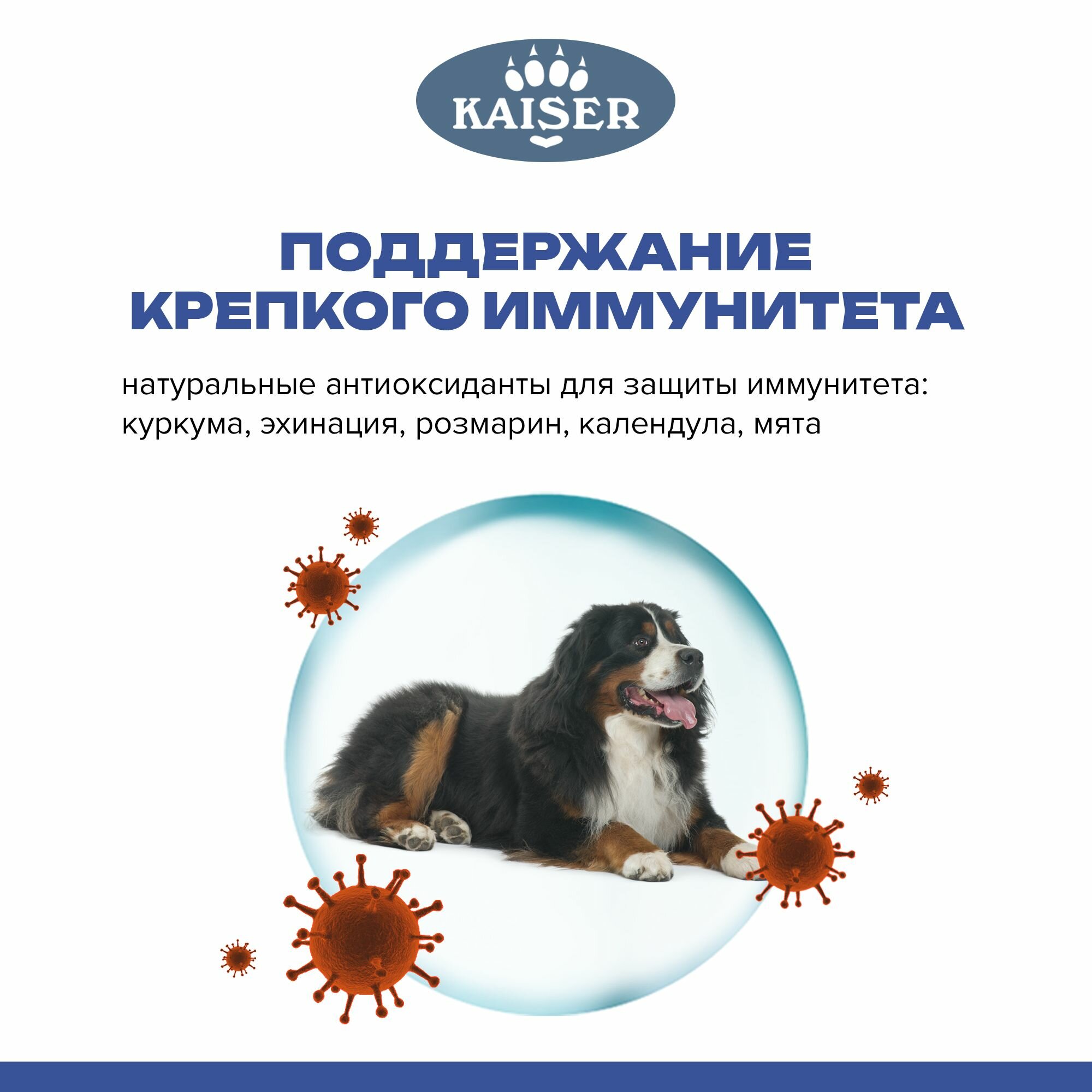 KAISER BRIDER Сухой корм для крупных собак с лососем, красота кожи и шерсти, 5кг — фото 1