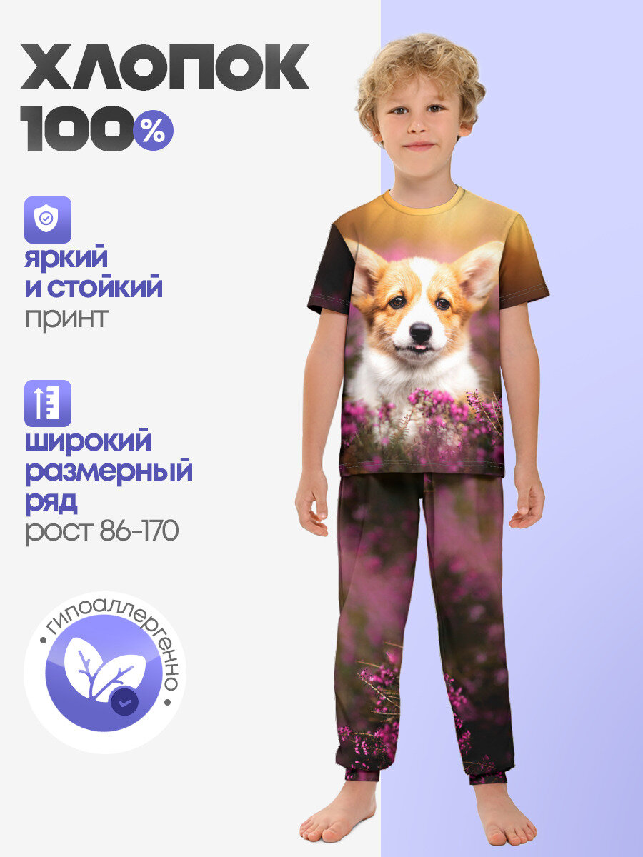 Пижама Вельш-корги