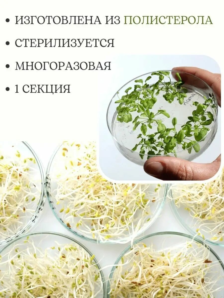 Набор Чашка Петри пластиковая трех секционная D-90 мм, 5 шт — фото 1