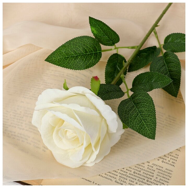 Цветы искусственные "Роза боливийская" 75х55 см белый 3933366