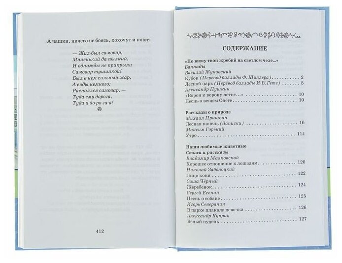 Полная библиотека. 5 класс (Коллектив авторов) - фото №11