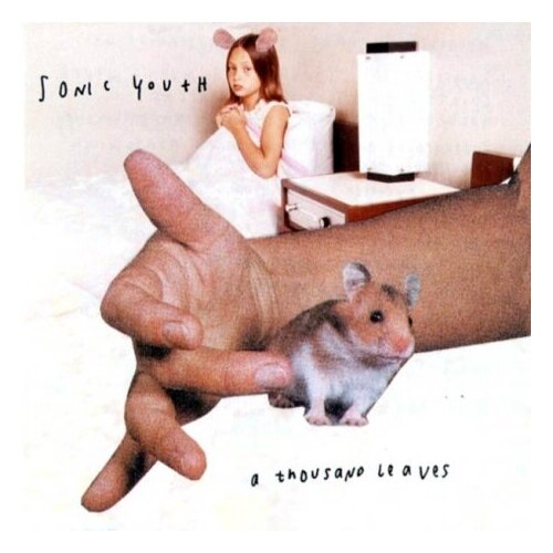 Виниловые пластинки, DGC, SONIC YOUTH - A Thousand Leaves (2LP)