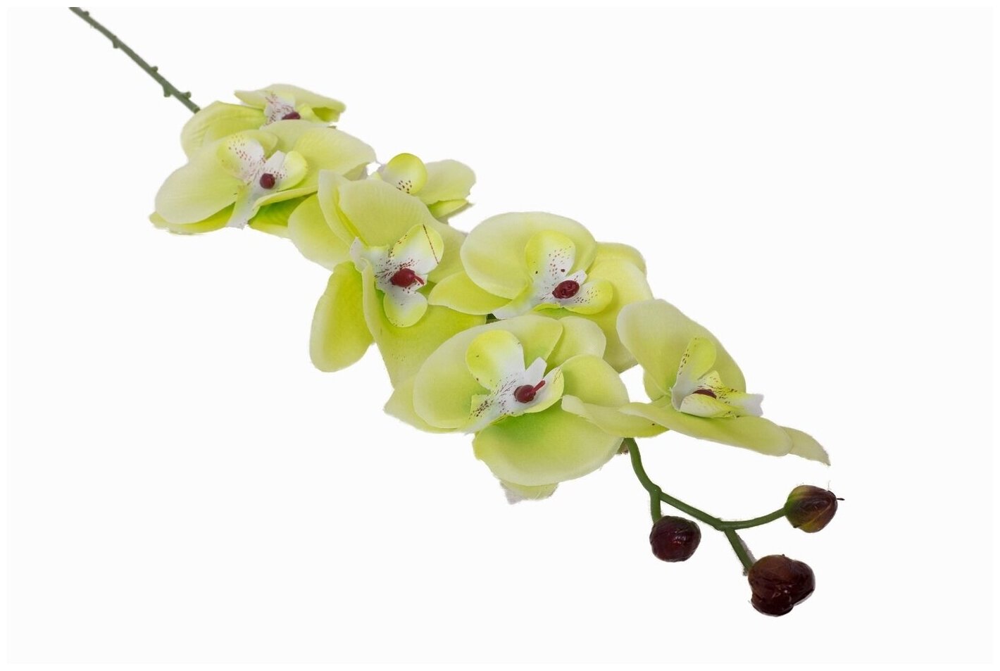 Искусственные цветы Орхидея салатовая от бренда Holodilova