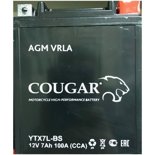 фото Аккумулятор мотоциклетный cougar agm ytx7l-bs 12v 7ah (залит и готов к применению)