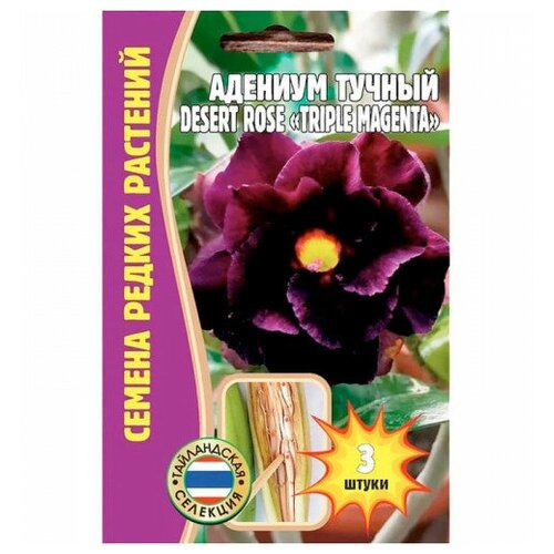 Семена Адениума тучного DESERT ROSE 