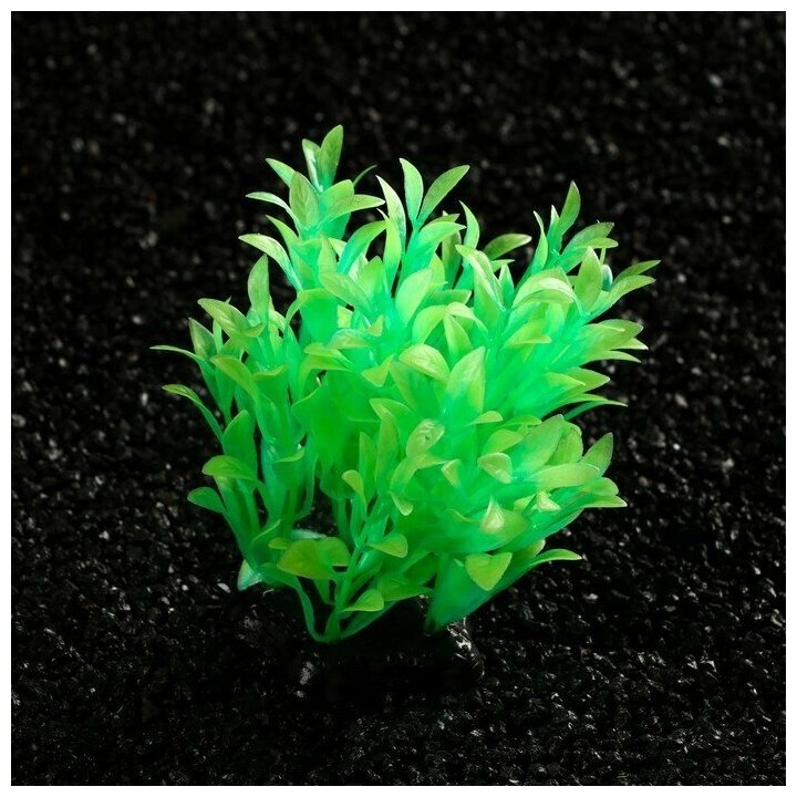 Растение искусственное аквариумное, светящееся, 10 см, зелёное Пижон Аква 7514221 . - фотография № 3