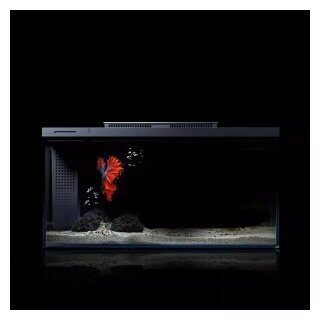 Умный аквариум Xiaomi Petkit Origin Intelligent Fish Tank Single Cylinder 10L - фотография № 2