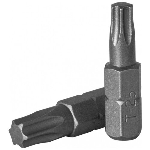 Торцевая бита 10 мм TORX Т55, 30 мм D130T55 JONNESWAY 47929