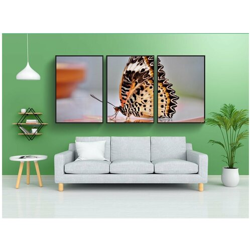 фото Набор модулных постеров для интерьера "бабочка, тропические бабочки, экзотика" 60x90 см. в тубусе, без рамки lotsprints