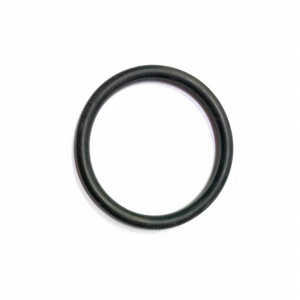 фото Уплотнительная прокладка, RDT, D48мм, Protherm, Эван, круглый профиль, 66815