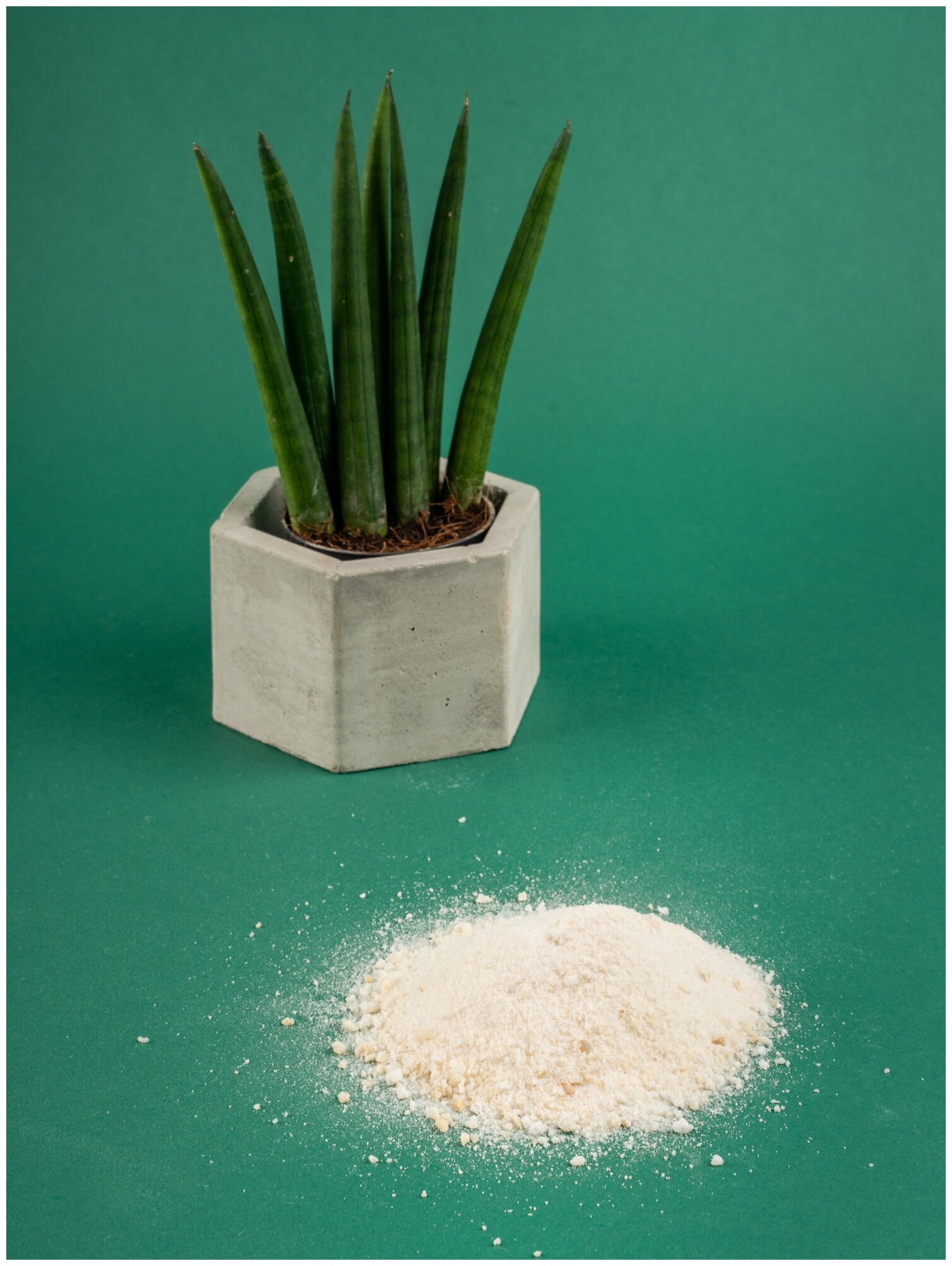 Гидрогель для растений суперабсорбент на основе калия Аквасин 1 кг — фото 1