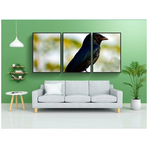 фото Набор модулных постеров для интерьера "черная птица, маленькая птица, ржавый кассик" 60x90 см. в тубусе, без рамки lotsprints