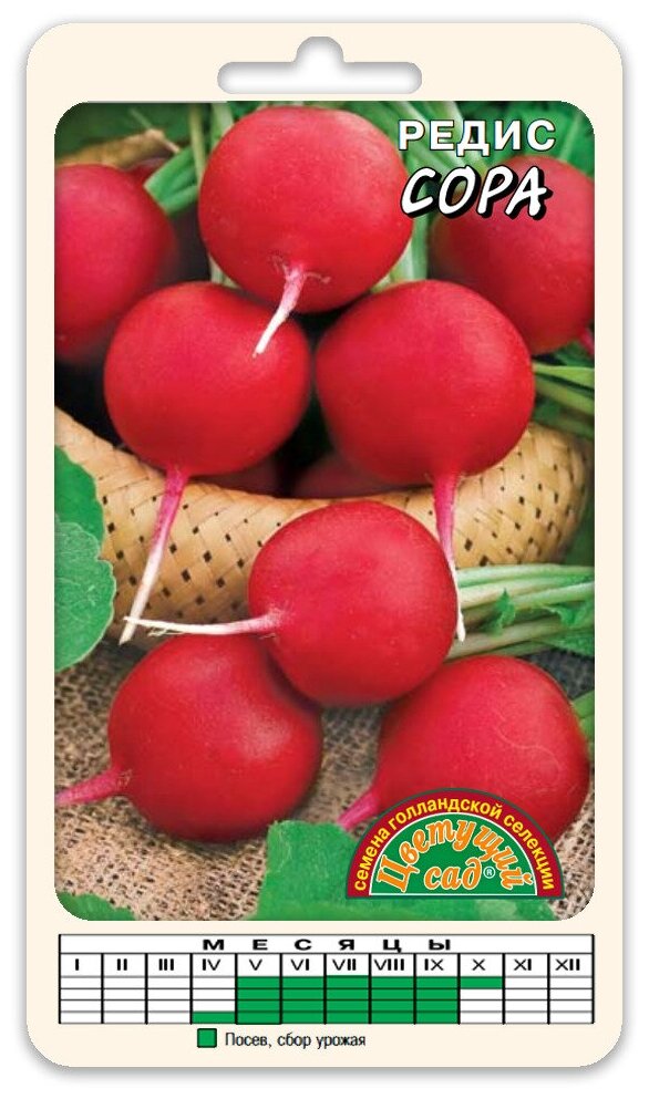 Семена Редис Сора 0 3г Ранние  Цветущий Сад 