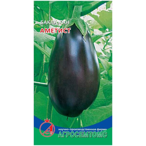 Семена баклажана 