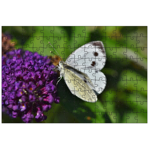 фото Магнитный пазл 27x18см."бабочка, крыло, цветок" на холодильник lotsprints