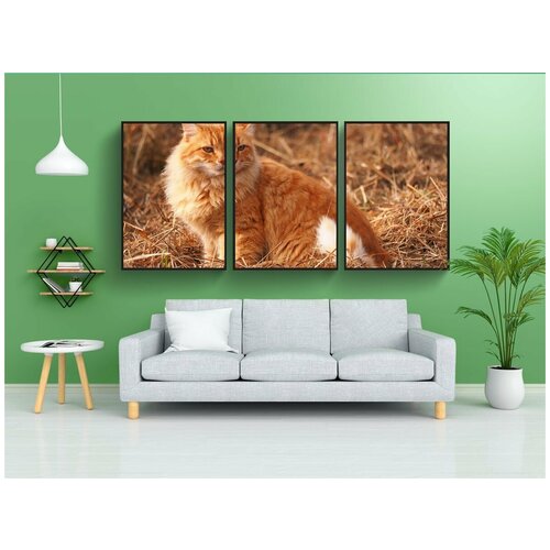 фото Набор модулных постеров для интерьера "животное, кошка, природа" 60x90 см. в тубусе, без рамки lotsprints