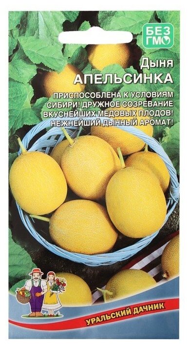Семена Дыня "Апельсинка", 10 шт