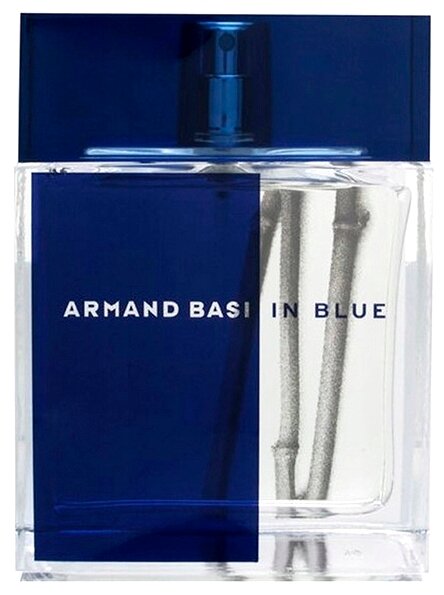 Armand Basi туалетная вода In Blue, 50 мл