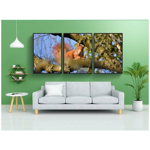 фото Набор модулных постеров для интерьера "белка, дубовый котенок, грызун" 60x90 см. в тубусе, без рамки lotsprints