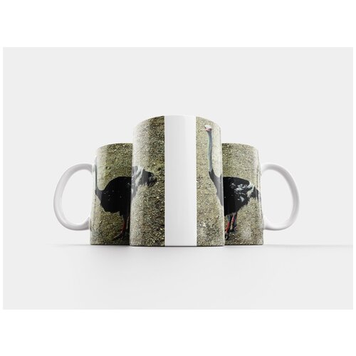 фото Кружка "страус, птица, дикая природа" 320 мл lotsprints