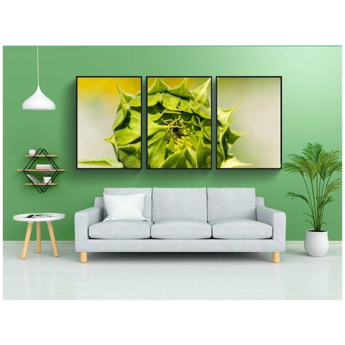 фото Набор модулных постеров для интерьера "подсолнух, бутон, природа" 60x90 см. в тубусе, без рамки lotsprints