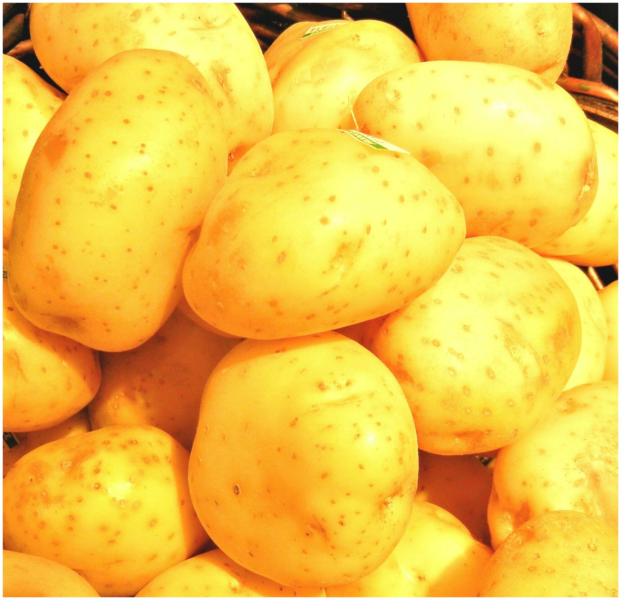 Картофель "Джувел", в сетке 2 кг, защищенный от вирусов, с отличным картофельным ароматом и содержанием крахмала 13%, отличается повышенной устойчивос - фотография № 5
