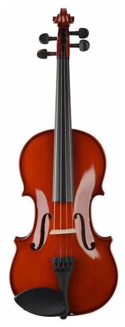 Prima P-100 4/4 скрипка в комплекте